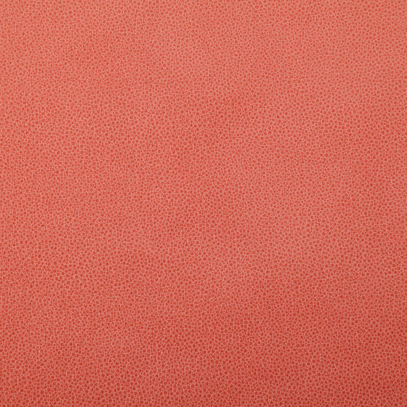 Q27 Serena corium impressum et holoserica textura obliquata
